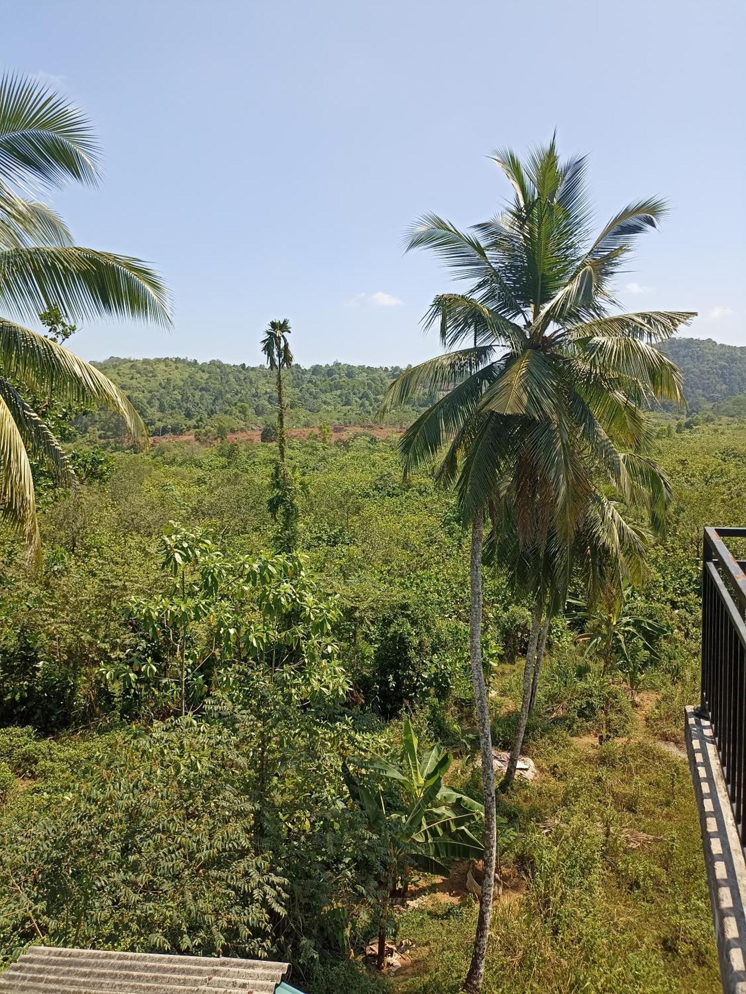 D Studio Villa Matugama Exterior photo