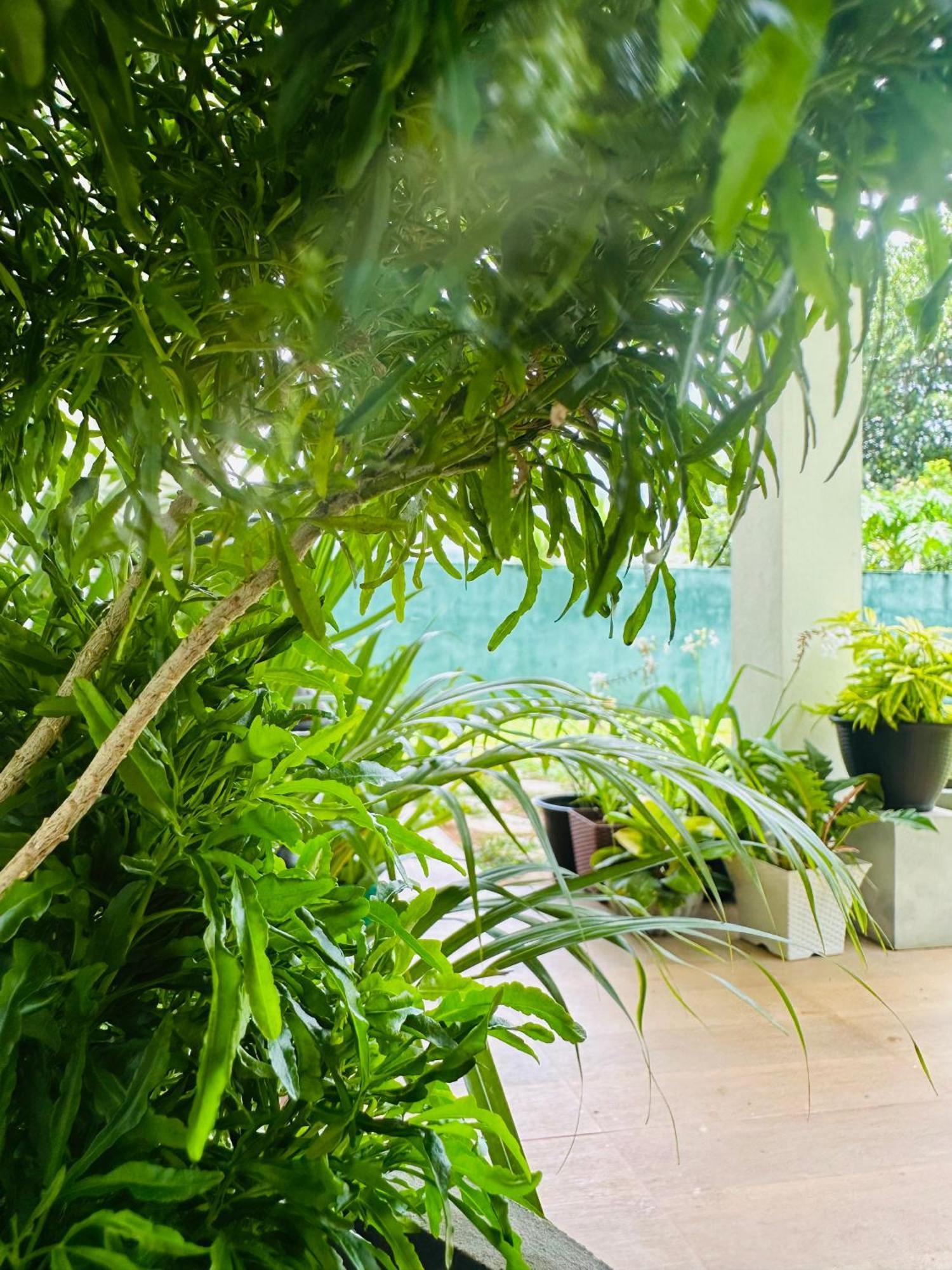 D Studio Villa Matugama Exterior photo